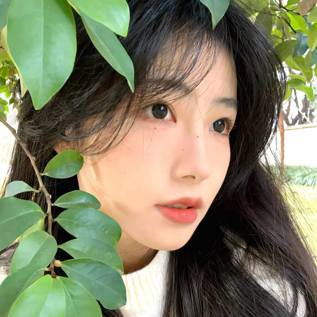 真爱不忘国语